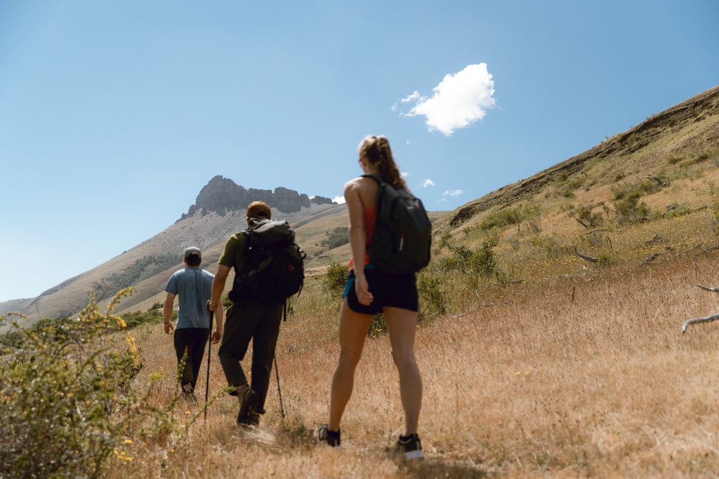 Full Day Trekking